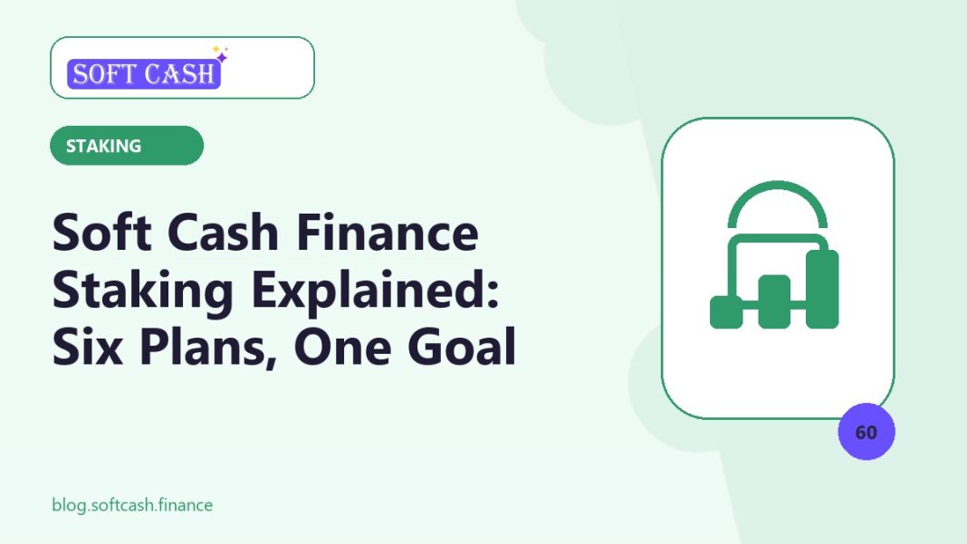 Soft Cash Finance Staking Explained: Six Plans, One Goal Soft Cash Finance staking guide showing six plan levels